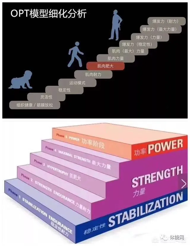 篮球运动员一周的力量训练计划怎么写_0
